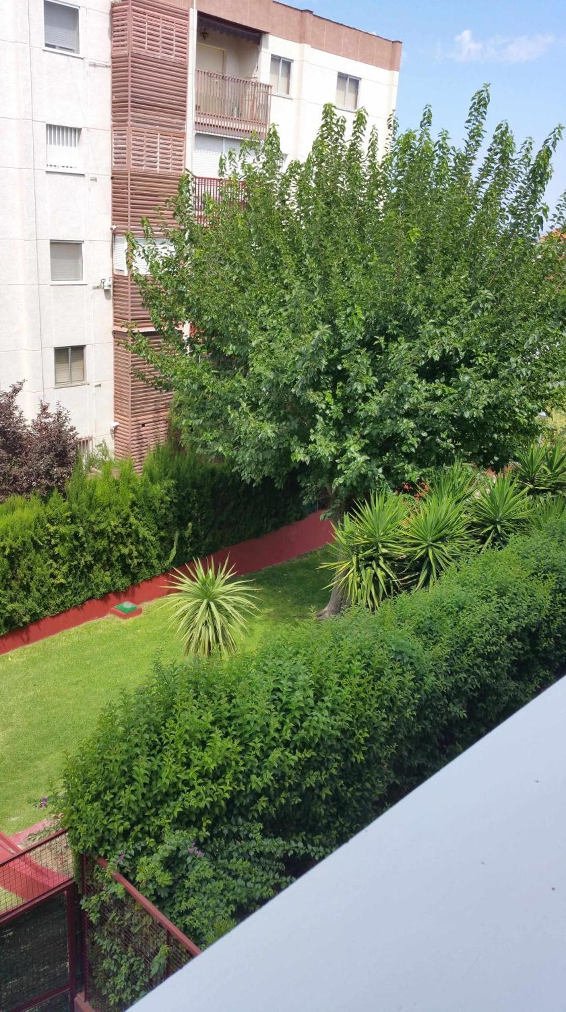Appartamento Sauces Parking Gratis Climatizado Jaén Esterno foto